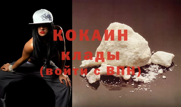 прущий лед Алзамай
